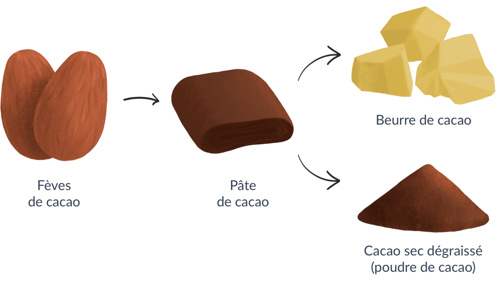 Le chocolat est il bon pour la santé DNA Directory